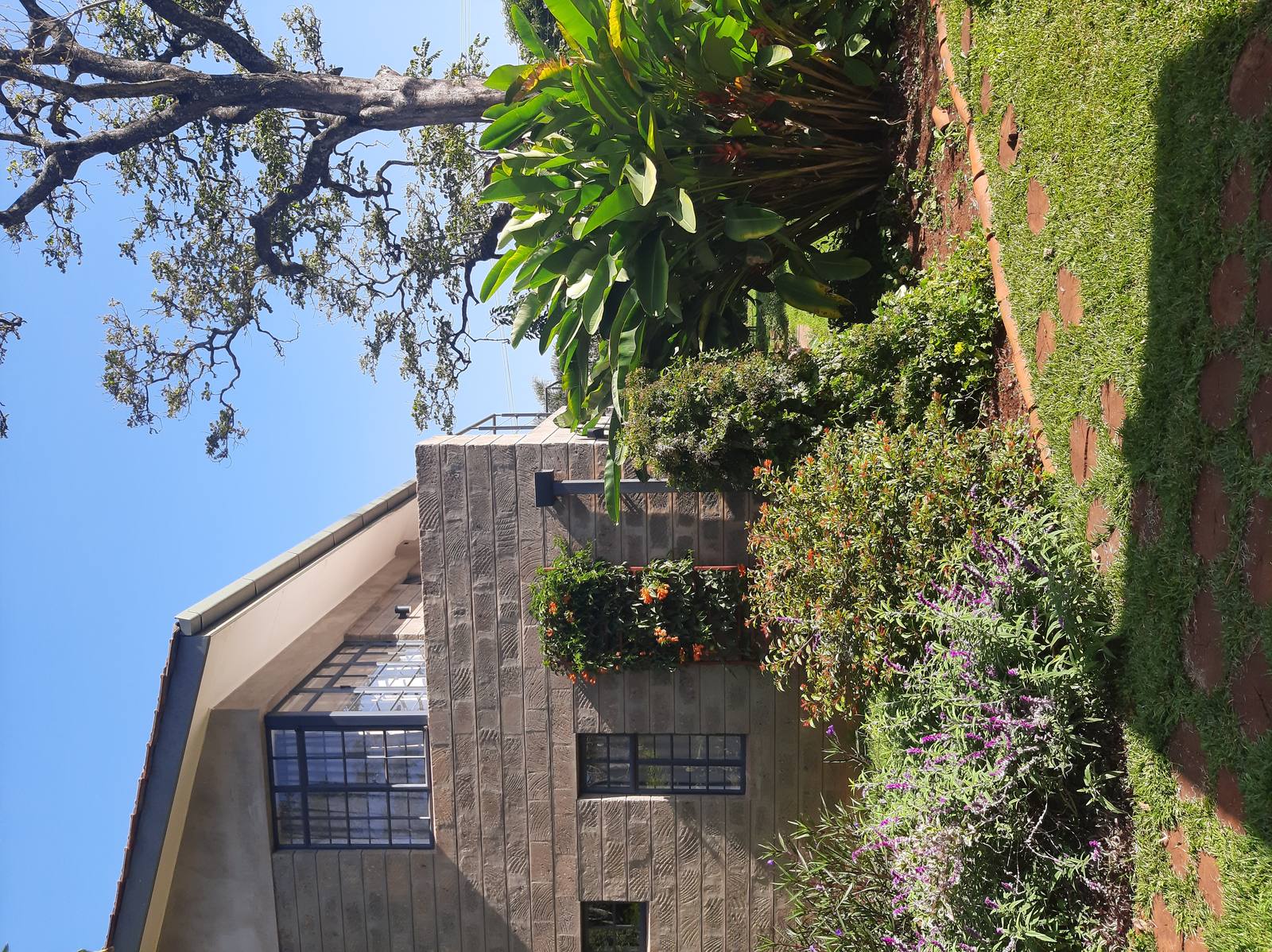 The Hedge - Gallery 10