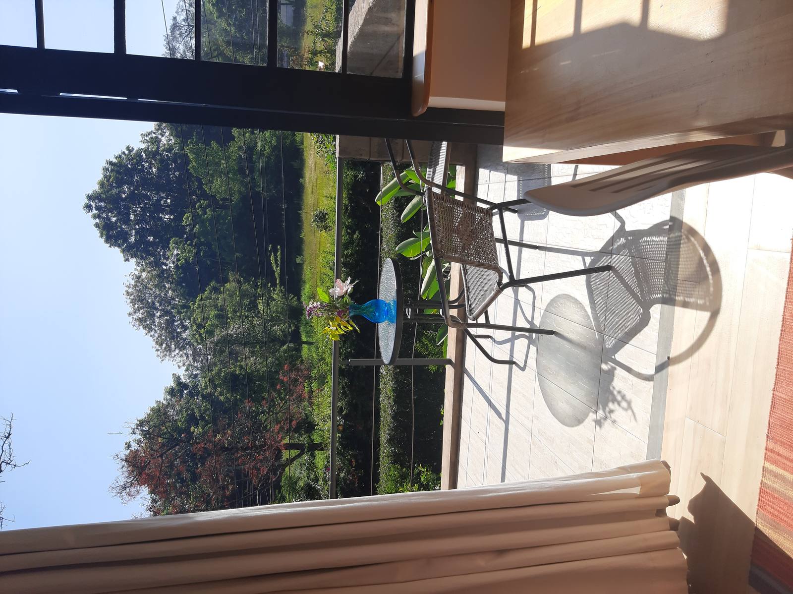 The Hedge - Gallery 5