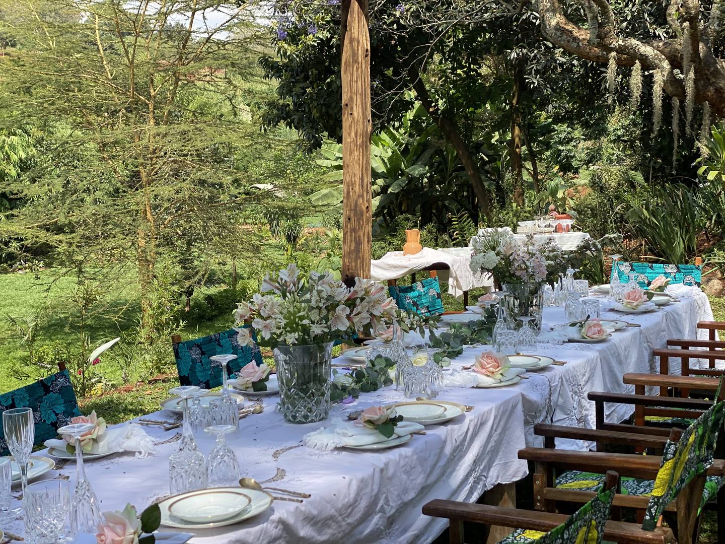 Morning light in the Maarifa gardens
